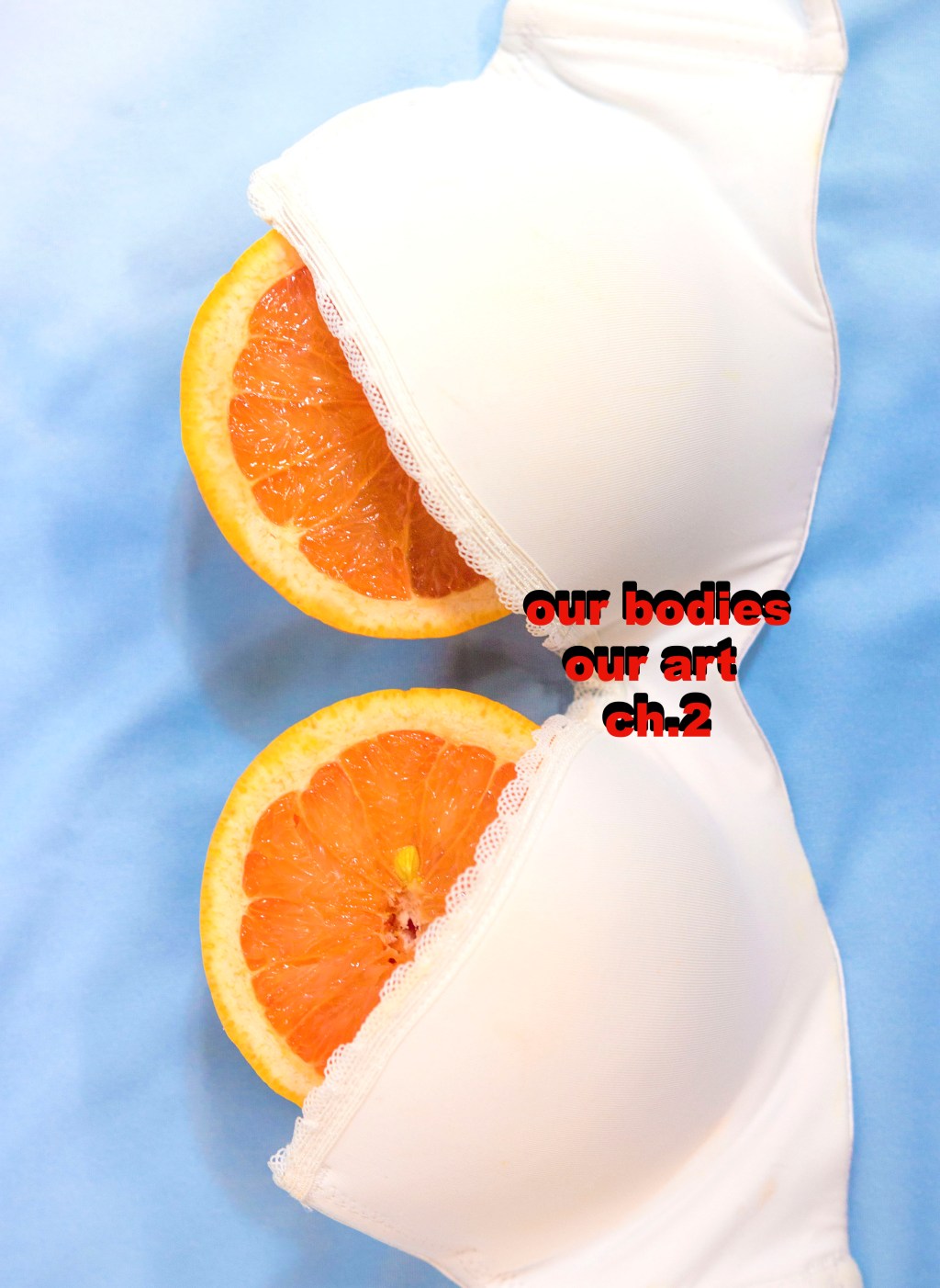 Our Bodies Our Art Ch.&nbsp;2